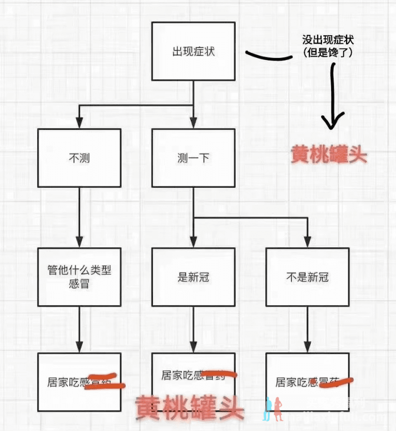 刷爆全网的“初阳权”是什么梗？