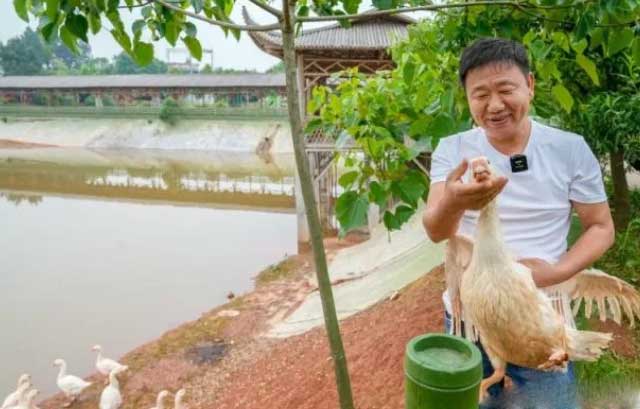 浏阳这位网红鹅叔爱上直播