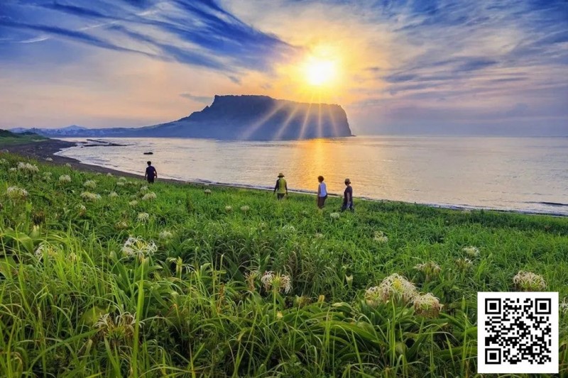 【EV撲克】别Till，来Jeju Chill——必去景点+路线打包+管家制定