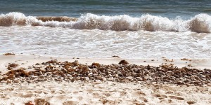 【EV女孩】越看越熱！比基尼辣妹做日光浴　「陽光沙灘曬蜜臀」人間最美風景超養眼